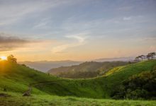 Photo of دل میں اک احساسِ ہستی کی جھلک باقی رہی