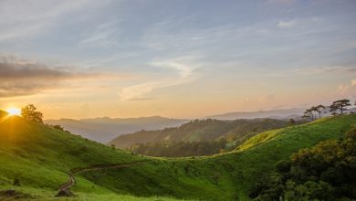 Photo of میری پیاری امی جان۔ محترمہ امینہ مبارکہ خانم صاحبہ