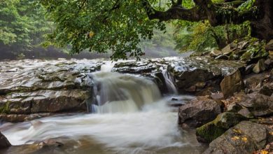 Photo of بنی اسرائیلی مسیح اور امت محمدیہ کے مسیح کے حلیے مختلف کیوں ہیں؟