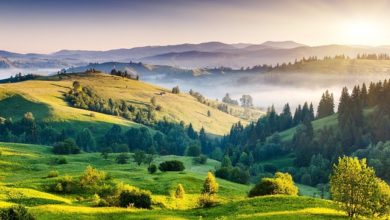 Photo of قافلہ سالارِ عشق