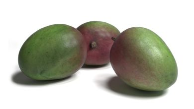 Photo of ’’ان پاکیزہ چیزوں میں سے جو ہم نے تم کو دی ہیں کھاؤ‘‘