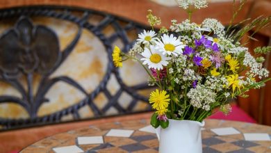 Photo of بیواؤں کا عالمی دن اور اسلام