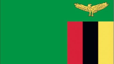 Photo of زیمبیا میں پھل دار پودوں کی مفت تقسیم