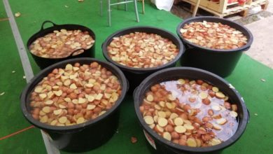 Photo of جلسہ سالانہ کے صحت افزا کھانے