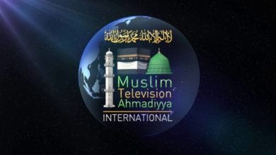 Photo of MTA Management Board