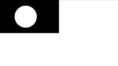 Photo of مجلس انصار اللہ نیوزی لینڈ کے زیر اہتمام قرآن نمائش