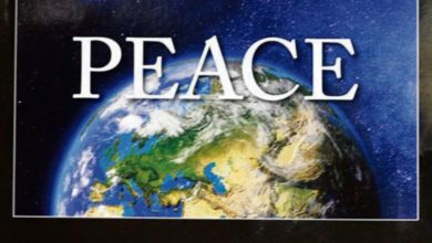 Photo of جرمنی کے شہر Lindau میں بین الاقوامی ادارے Religion for Peace کی دسویں پنج سالہ اسمبلی کا انعقاد