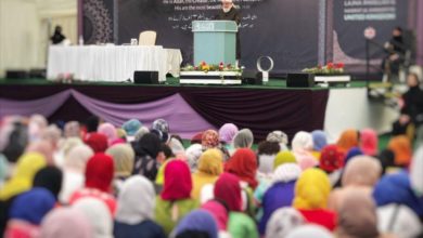 Photo of آئیڈیل سے حقیقت کا سفر