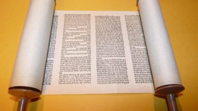 Photo of حضرت ہاجرہ ؑکون تھیں؟ حدیث ما کذب ابراھیم الا ثلاث پر ایک تحقیق (قسط دوم)