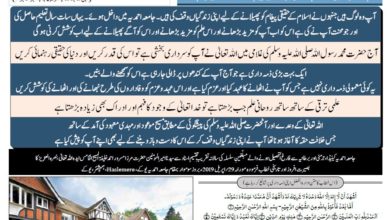 Photo of الفضل انٹرنیشنل 19؍ نومبر 2019ء