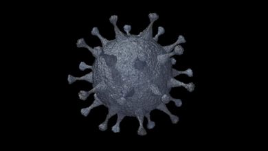 Photo of Covid-19 بلیٹن (نمبر 80، 16؍ جون 2020ء)