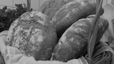 Photo of توبہ اور نیکی کی ٹوکری