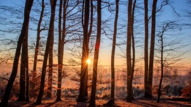 Photo of محمد اسلم خالد صاحب