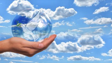 Photo of مذہبی رواداری سے متعلق بے مثل اسلامی تعلیمات