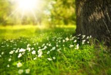 Photo of ہم نے کورونا وائرس کو کیسے اپنے گھر سے نکالا؟