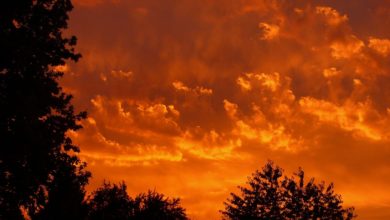 Photo of 31؍اگست 1924ء: مولوی نعمت اللہ خان صاحب کی دردناک شہادت