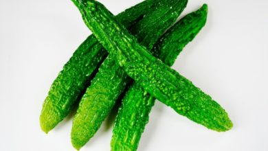 Photo of کریلا شفا بخش ہے