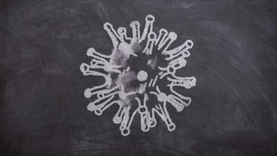 Photo of Covid-19 بلیٹن (نمبر 10، 7؍اپریل 2020ء)