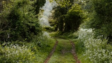 Photo of غافل ہیں خدا سے جو، اُنہیں راہ دکھا دے