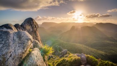 Photo of دلی دعائیں