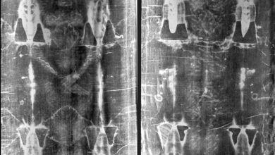 Photo of مرہم عیسیٰ (قسط چہارم-آخری)