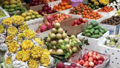 Photo of وٹامنز اوران کی افادیت