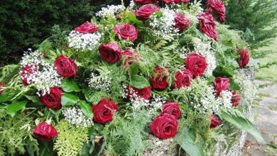 Photo of پروفیسر امۃ المجید چودھری صاحبہ آف اسلام آباد یوکے کا مختصر تعارف اور ذکر خیر