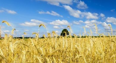 Photo of ایک سے سات سَو کمانے کا قرآنی نسخہ