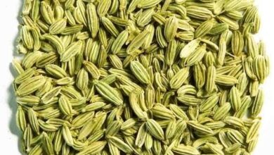 Photo of سونف کے فوائد