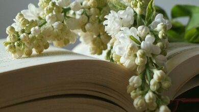 Photo of تعارف کتب صحابہ کرامؓ حضرت اقدس مسیح موعود علیہ الصلوٰۃ والسلام آئینہ حق نما بجواب الہامات مرزا(حضرت شیخ یعقوب علی عرفانی رضی اللہ عنہ)(قسط ۶۱)