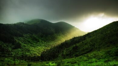 Photo of حمدِ باری تعالیٰ
