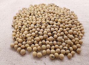 Photo of لیسی تھین (سویابین) کے فوائد