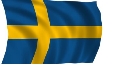 Photo of سیدنا حضرت امیر المومنین خلیفۃ المسیح الخامس ایدہ اللہ تعالیٰ بنصرہ العزیز کے ساتھ نیشنل عاملہ جماعت احمدیہ سویڈن کی (آن لائن) ملاقات