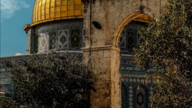 Photo of رحمۃ للعالمینؐ کے انبیاء علیہم السلامپر عظیم احسانات