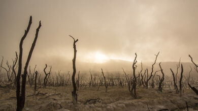Photo of قراۤن کریم کی تصریحات اور حضرت مسیح موعودؑ کے ارشادات کی روشنی میں تیسری عالمی ایٹمی جنگ اور اسلام احمدیت کی فتح (قسط دوم۔ آخری)