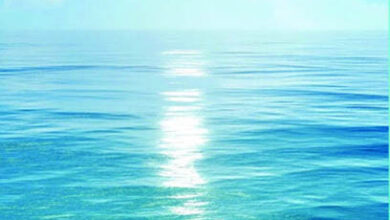 Photo of سیلابِ رحمت