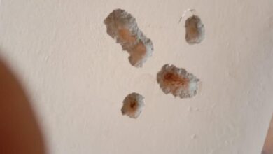 Photo of پشاور پاکستان میں احمدیوں پر مسلسل حملے۔ تین احمدی گھروں پر فائرنگ