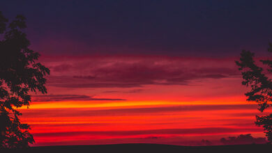 Photo of محترمہ امۃ الباسط شاہدہ صاحبہ