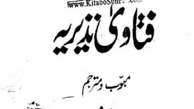 Photo of کیا پھر شیخ الکل فی الکل مولوی نذیر حسین صاحب دہلوی بھی انگریز کے ایجنٹ تھے؟