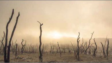 Photo of حضرت مسیح موعودؑ کی بعثت کے بعد وارد ہونے والی قدرتی آفات کا جائزہ (قسط اوّل)