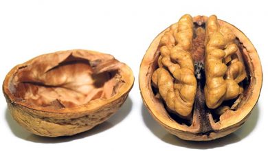 Photo of اخروٹ کے فوائد