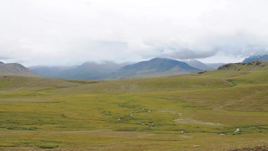 Photo of دیو سائی: خاموشی کی نگری