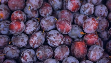 Photo of آلو بخا رے کی چٹنی اور اس کے فوائد