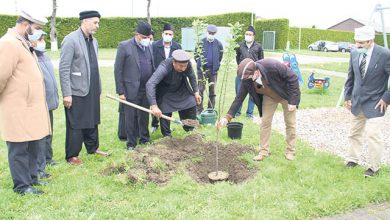 Photo of مجلس انصار اللہ سوئٹزرلینڈ کی بعض سرگرمیاں