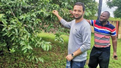 Photo of تجھ پہ رحمت مدام ہو پیارے