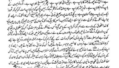 Photo of کیا حضرت مسیح موعودؑ نے حضرت عیسیٰؑ کی گستاخی کی ہے؟