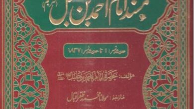 Photo of حضرت مرزا صاحبؑ بھلا کیسے مثیلِ مسیح ہو سکتے ہیں جبکہ ان کی والدہ اور حضرت مسیحؑ کی والدہ کے نام مختلف ہیں؟