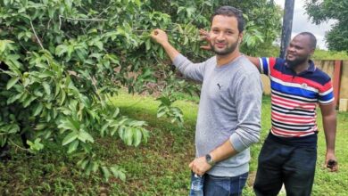 Photo of خوف کے بعد امن کے نظارے  (قسط چہارم۔آخری)