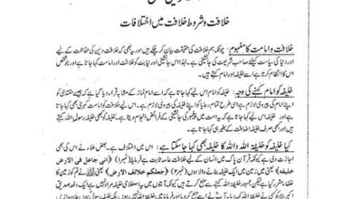 Photo of دِل ہمارے ساتھ ہیں …علماء کی نظر میں خلافت کی اہمیت