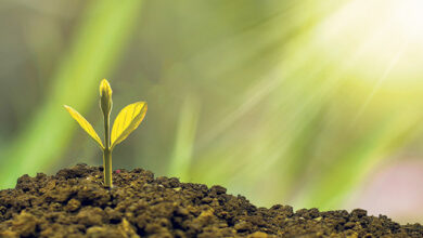 Photo of دفتر اطفال (وقف جدید) از افاضات حضرت خلیفۃ المسیح الخامس ایدہ اللہ تعالیٰ بنصرہ العزیز